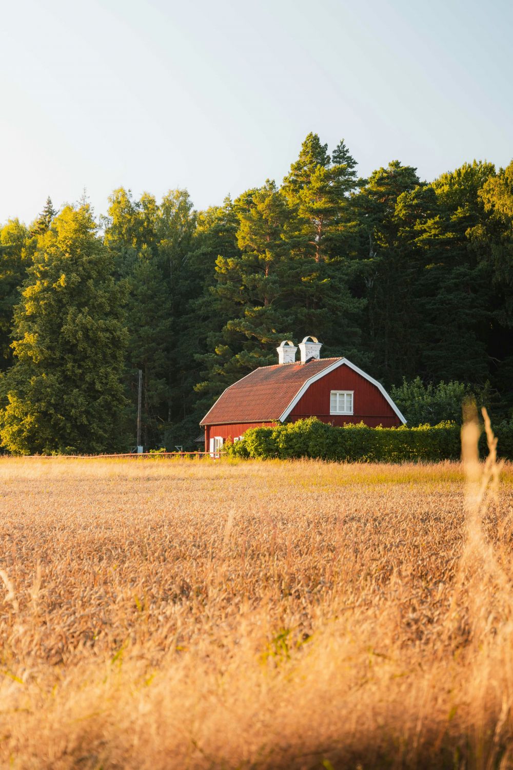 Takrenovering i Lund: En guide till ett hållbart tak