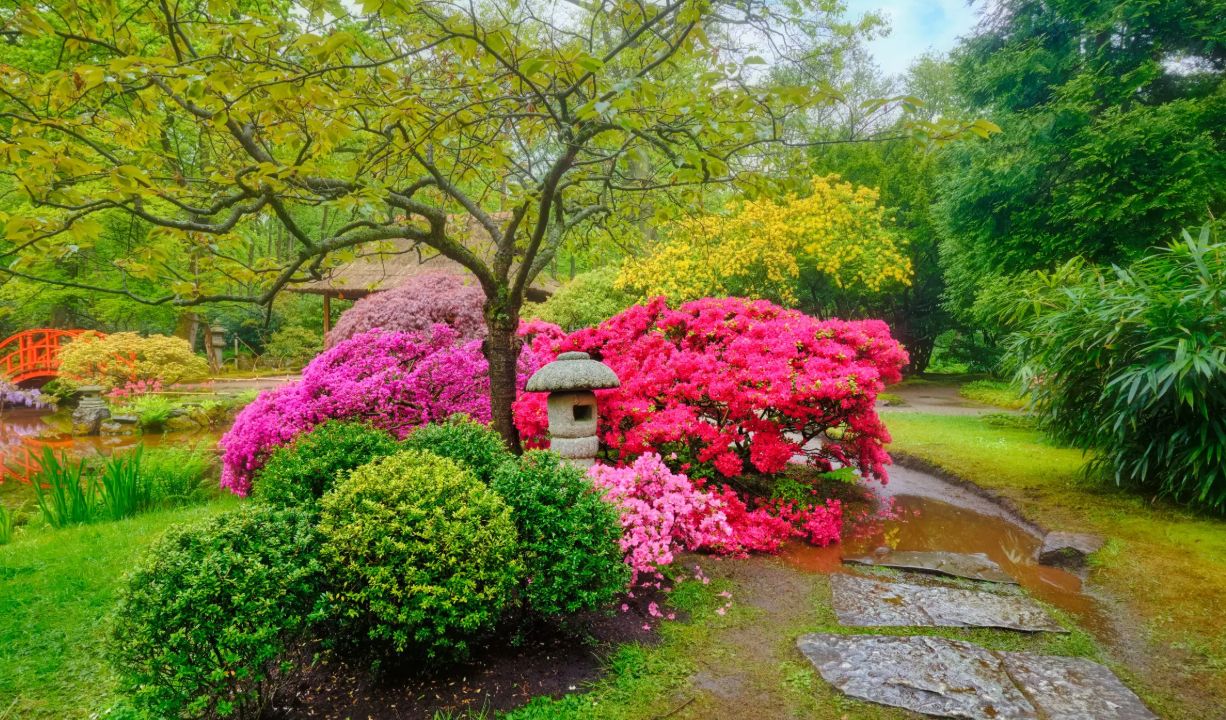 Dränering i gagnef  så skyddas huset mot fukt och framtida skador